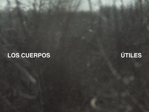 Título de Los cuerpos útiles
