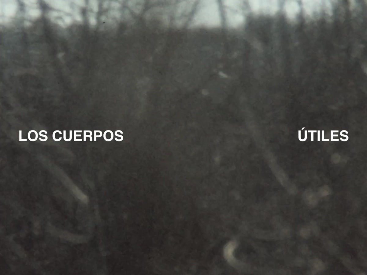 Los cuerpos útiles title card