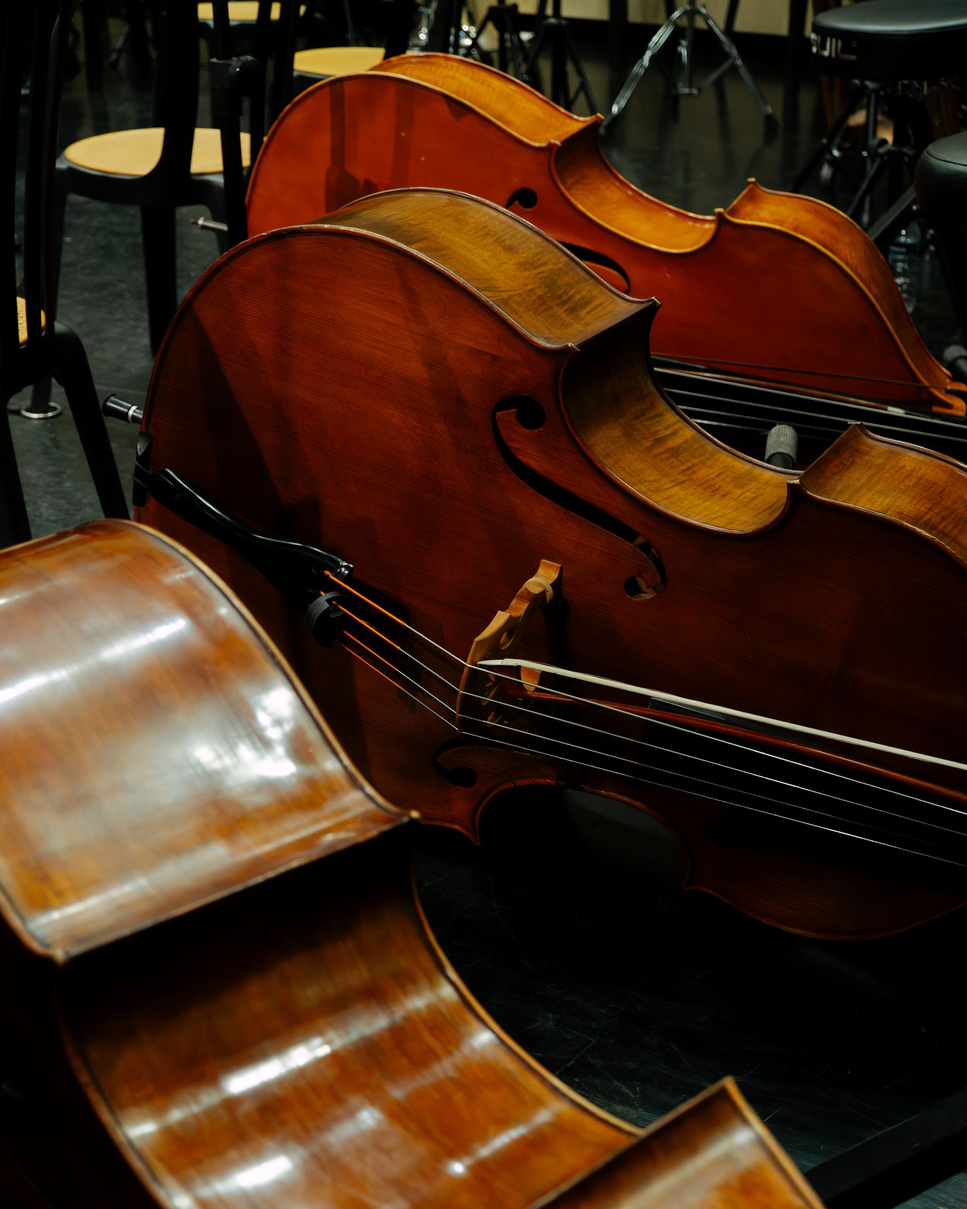 Double basses, detail
