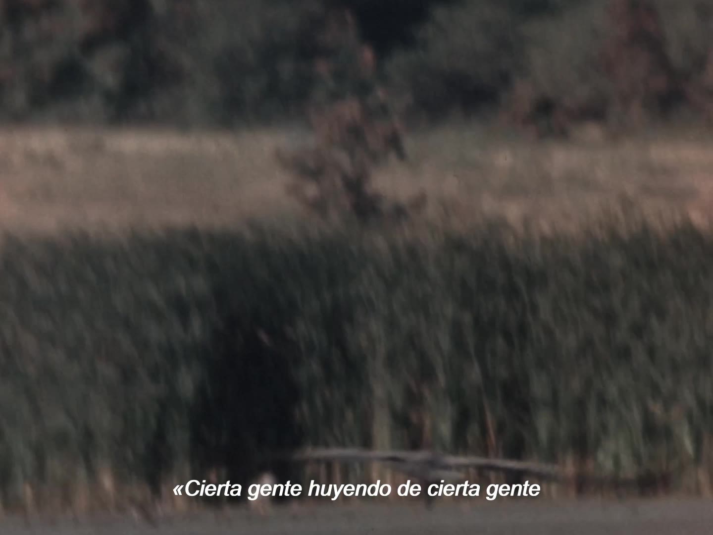 Still from Los cuerpos útiles